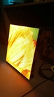 Esposizione di LED di colore pieno HD, video Governo dell'alluminio dell'esposizione di parete di PH1.44mm LED